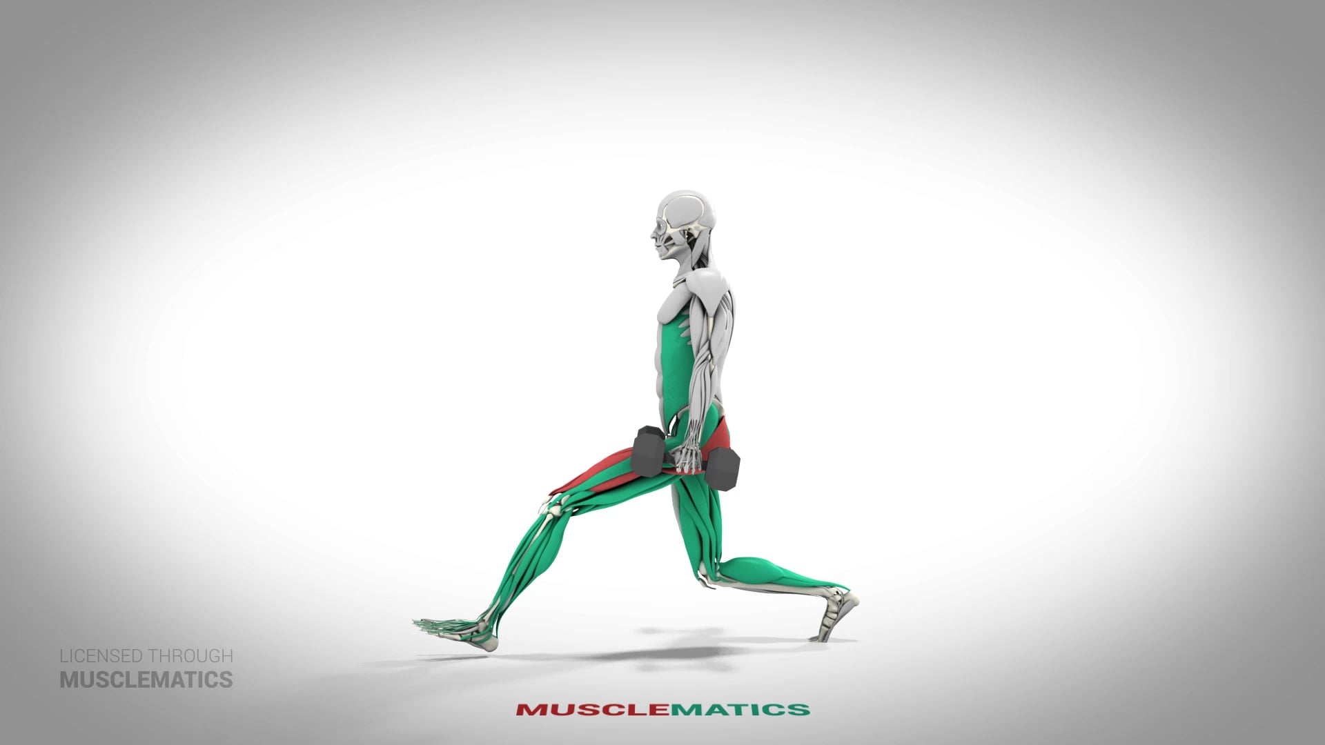 Dumbbell Lunges - (All Views) - LEFT