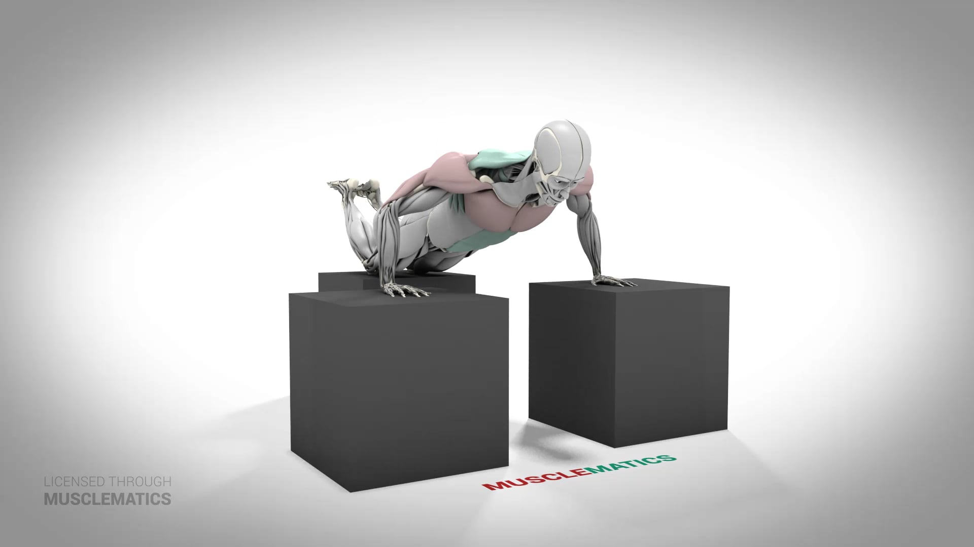 Three-Point Push-Up On Knees - (All Views)