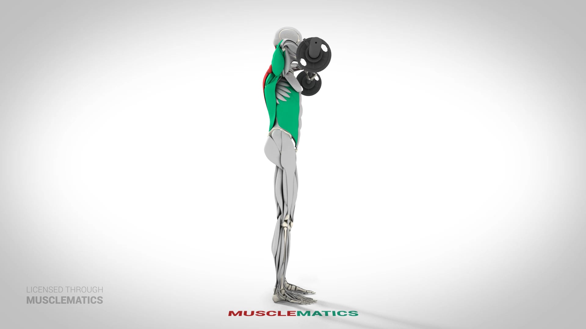 Upright Rows - (View 1)