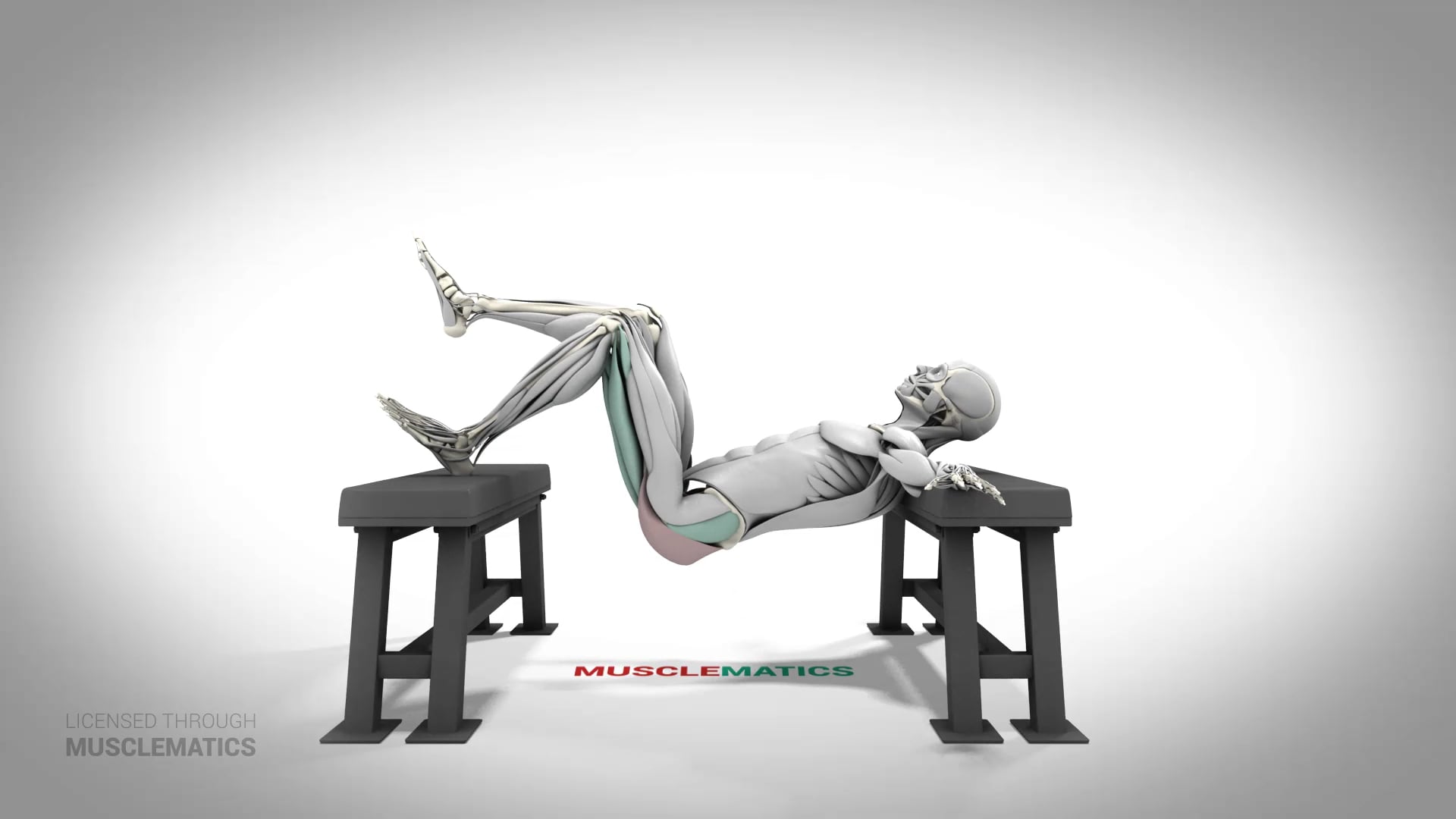 Single-Leg Elevated Hip Thrust - (All Views) - LEFT
