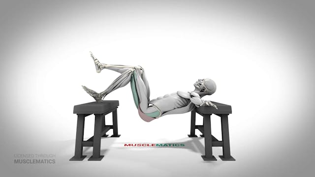 Single-Leg Elevated Hip Thrust - (All...