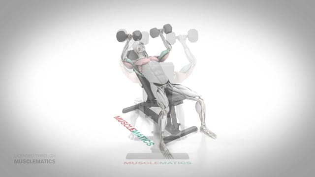 Incline Dumbbell Presses - (All Views)