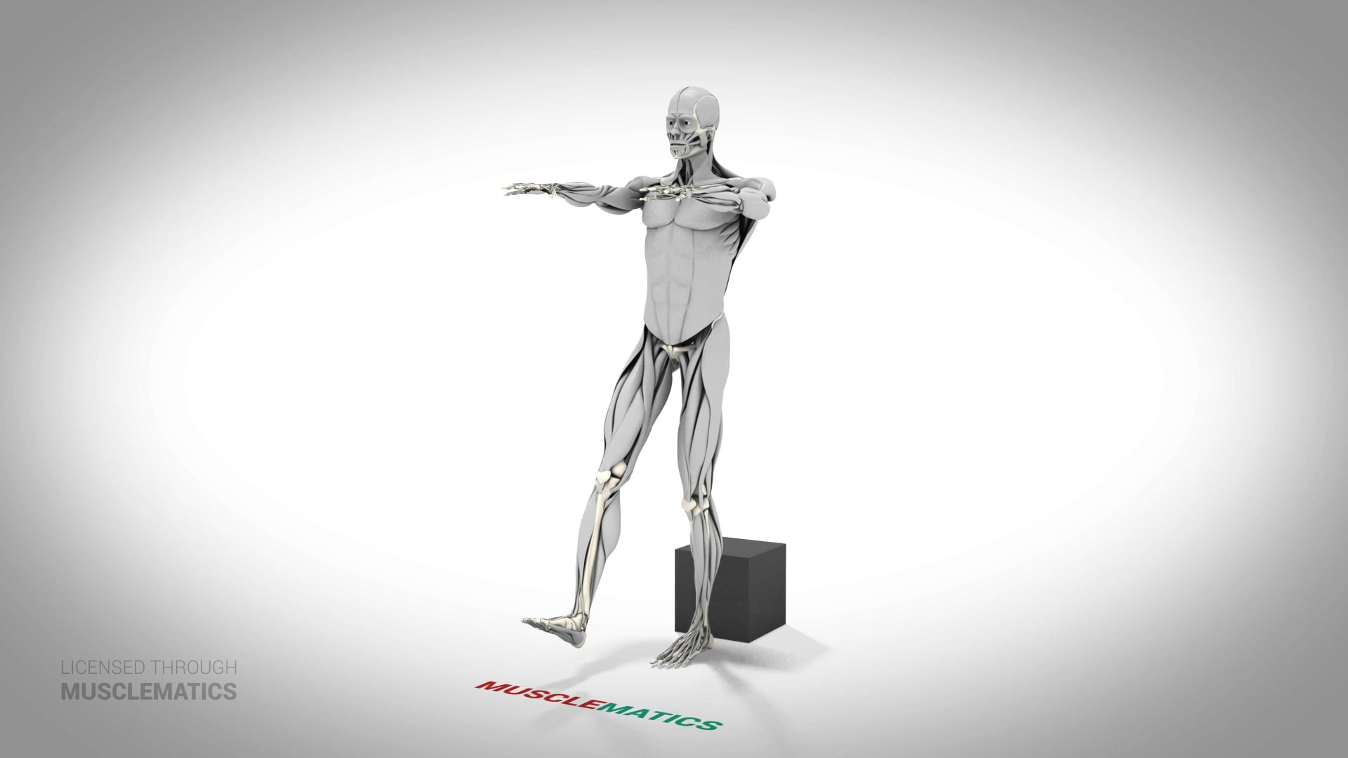 Single-Leg Low-Box Squat - (All Views) - LEFT