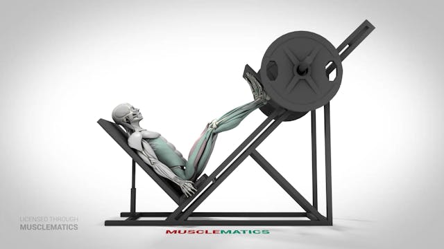 Angled Leg Presses - (View 2)