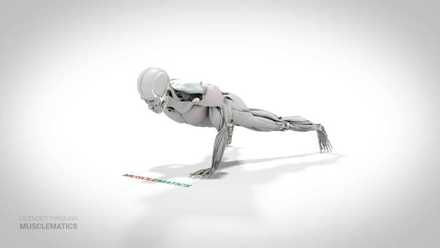 One-Arm Push-Up - (View 1) - LEFT