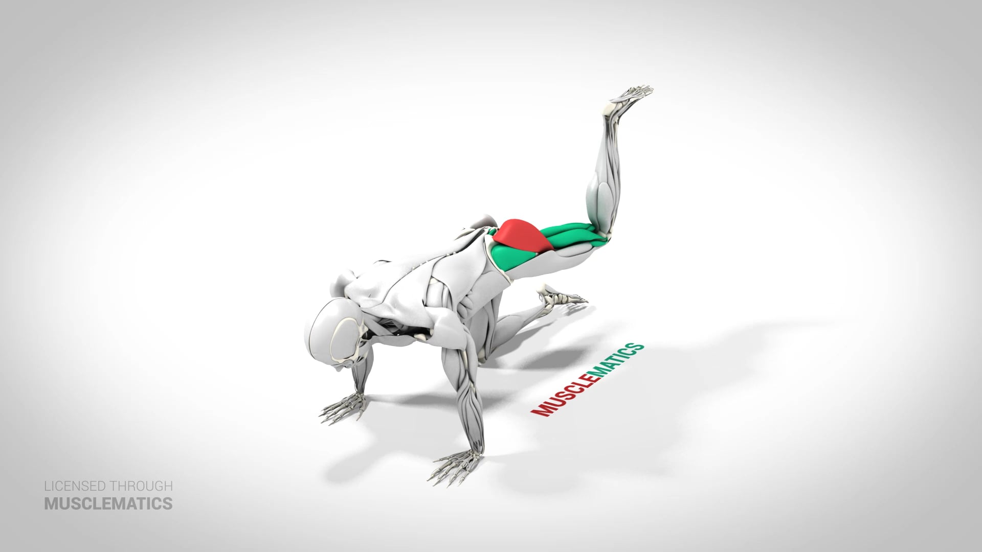 Kneeling Bent-Leg Donkey Kick - (View 3) - LEFT