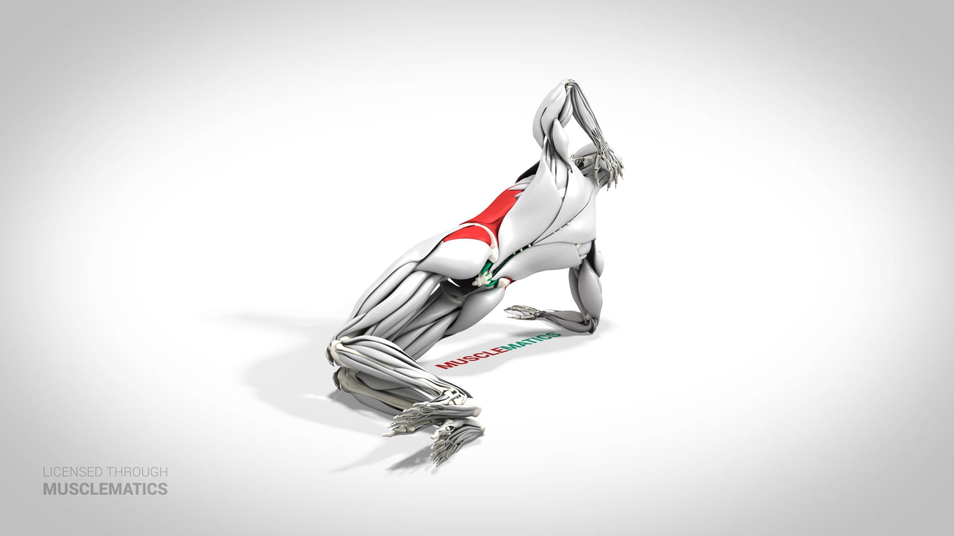 Side Plank On Knees - (View 3) - LEFT