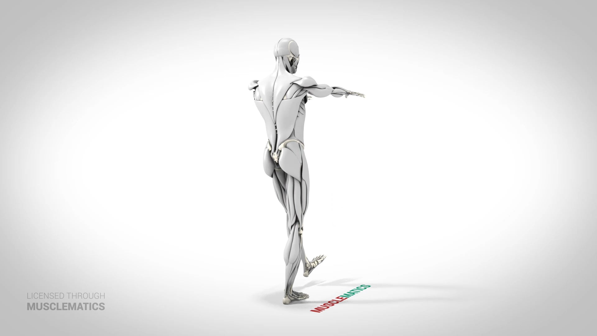 Pistol Squat - (View 3)