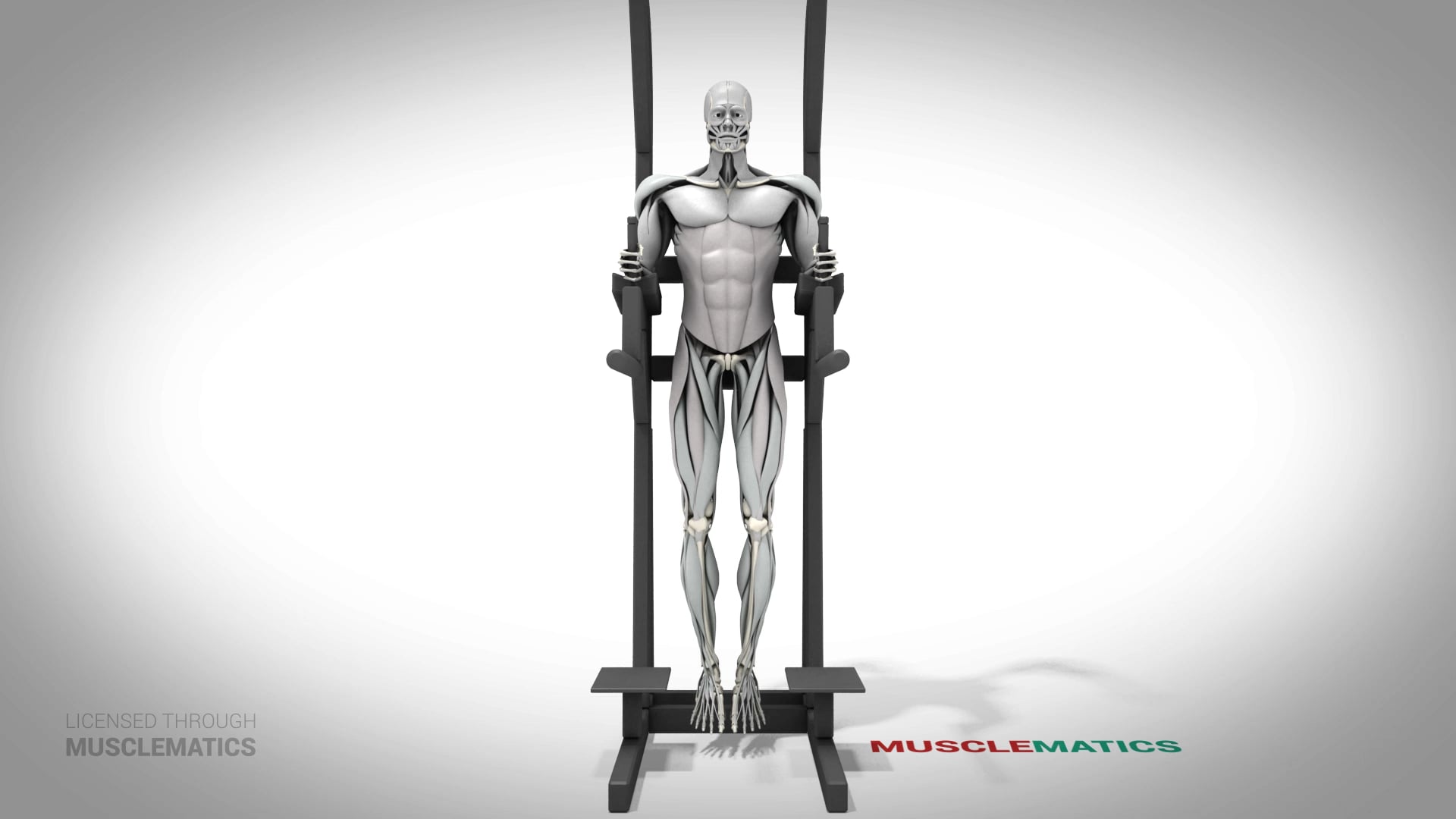 Leg Raises (Bent Leg) - (All Views)