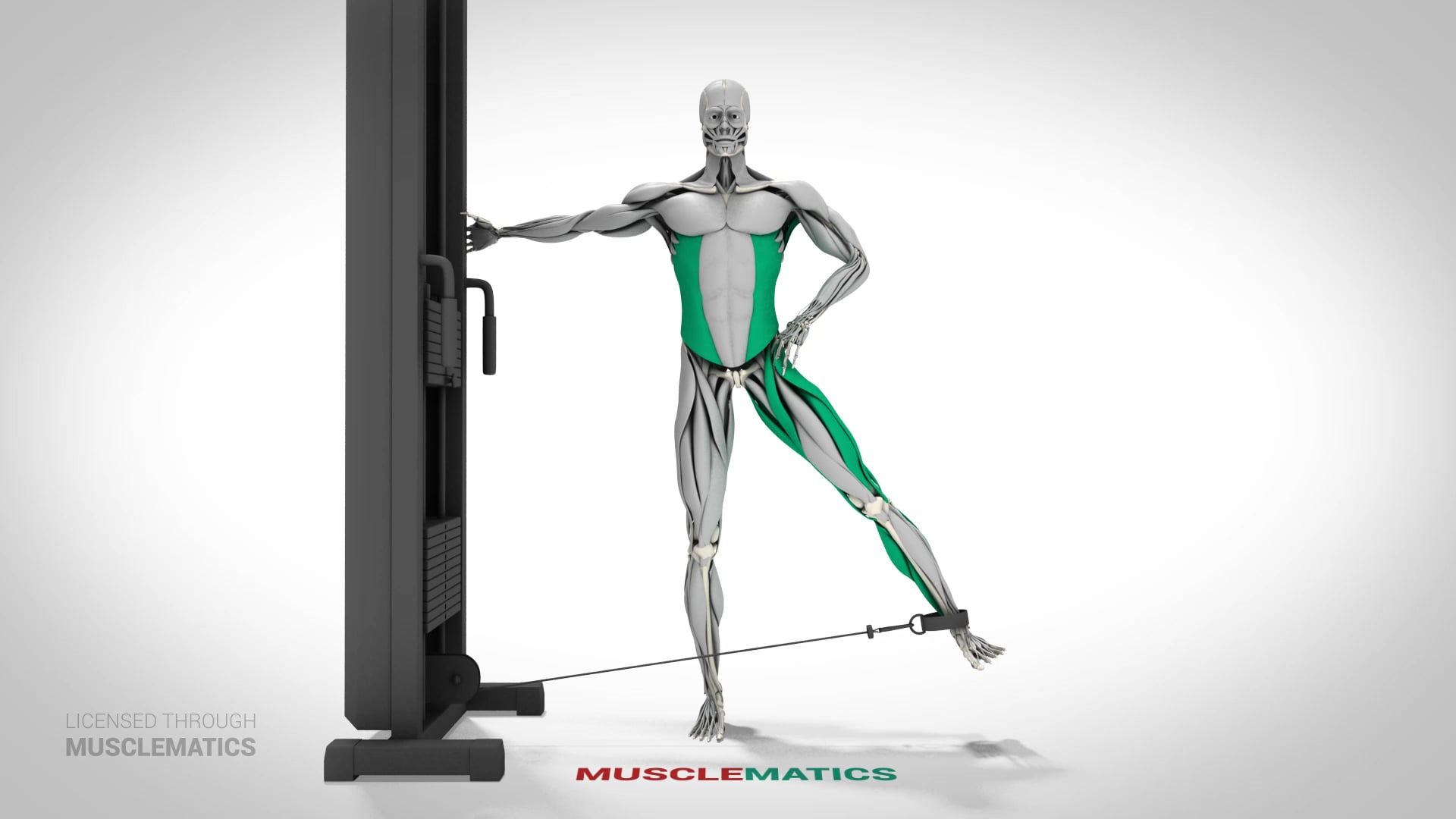Cable Hip Abductions - (View 1) - LEFT