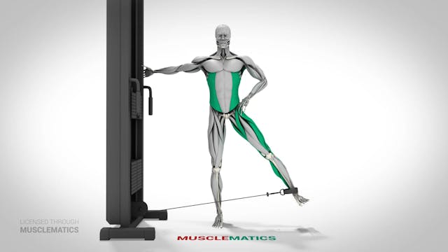 Cable Hip Abductions - (View 1) - LEFT