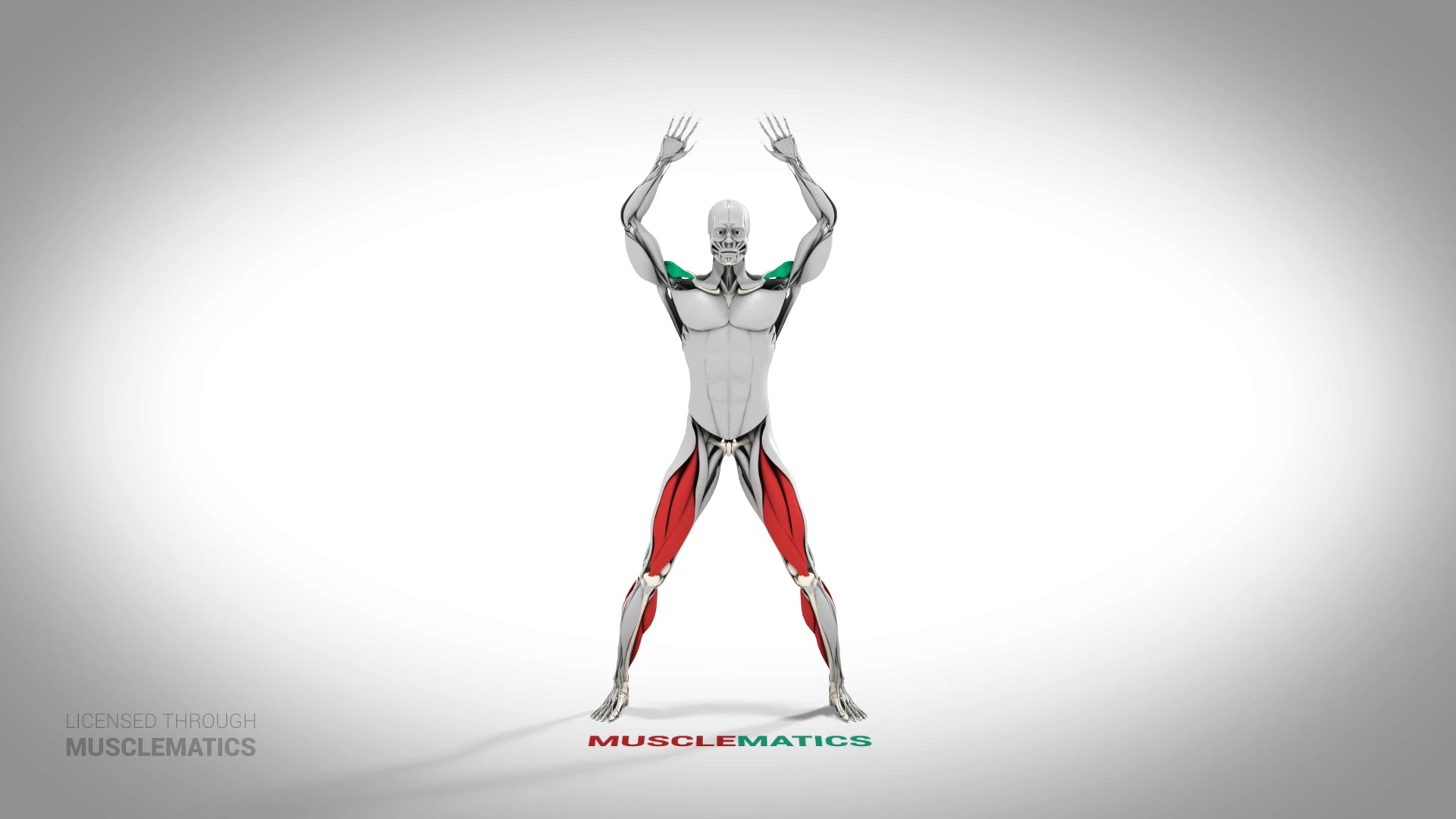 Jumping Jacks - (All Views)