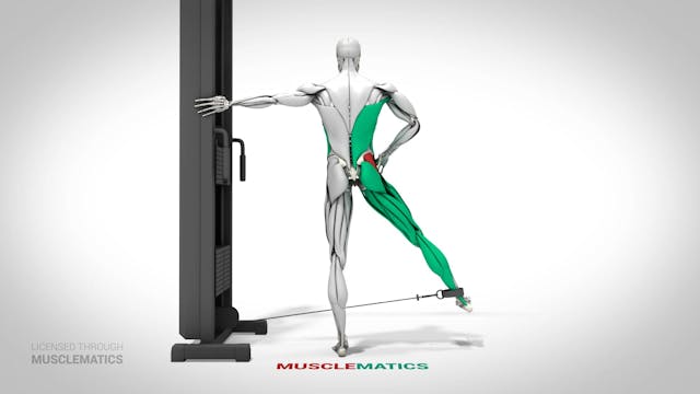 Cable Hip Abductions - (View 2)