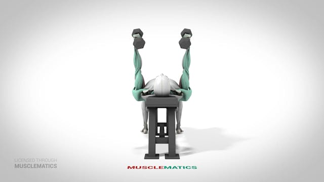 Dumbbell Triceps Extensions - (View 3)