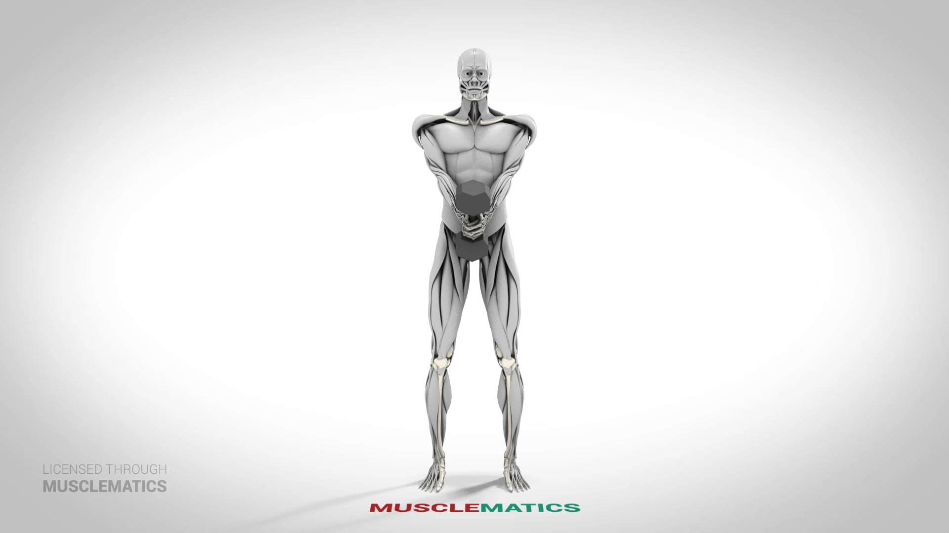 One-Dumbbell Front Raises - (View 1)