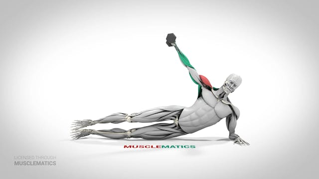 Side-Lying Lateral Raises - (View 1)