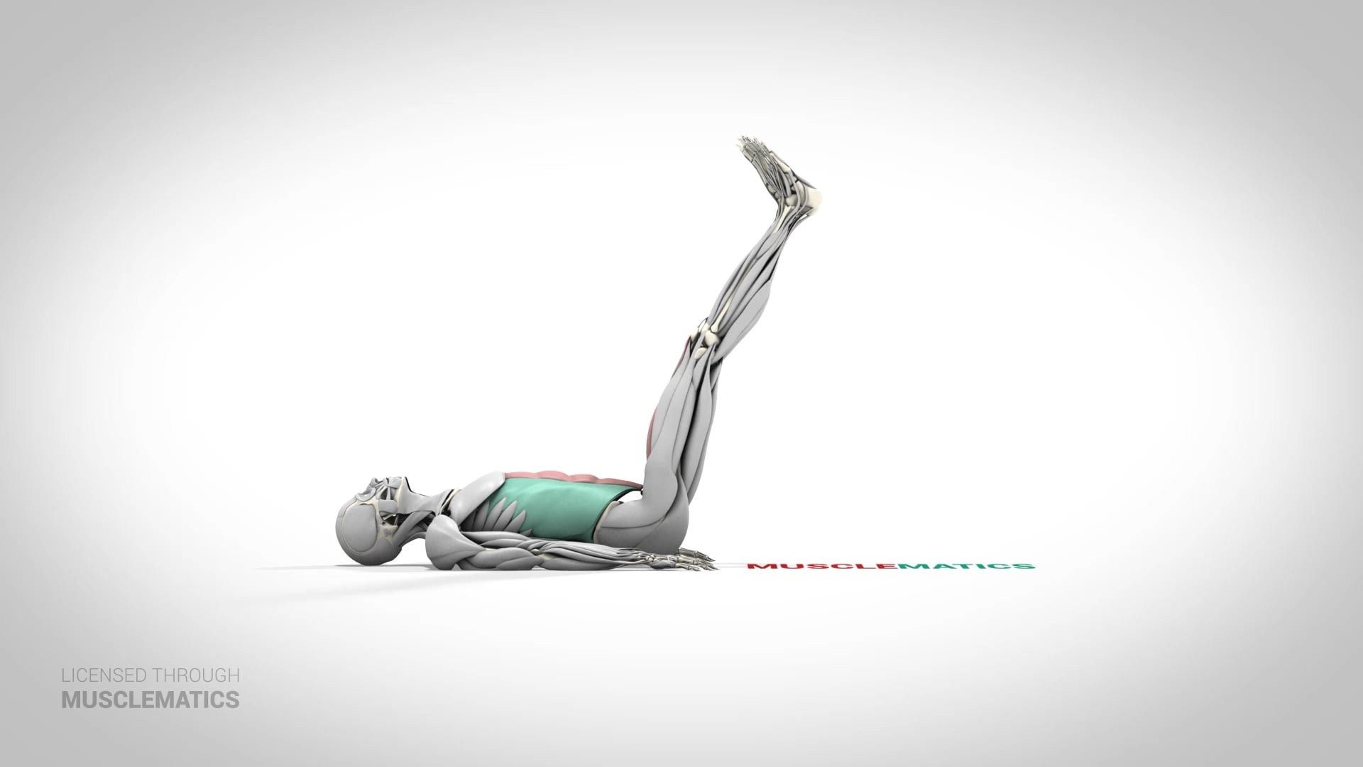 Lying Straight-Leg Raise - (View 1)