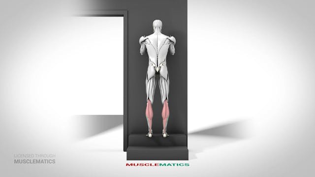 Elevated Calf Raise - (View 1)