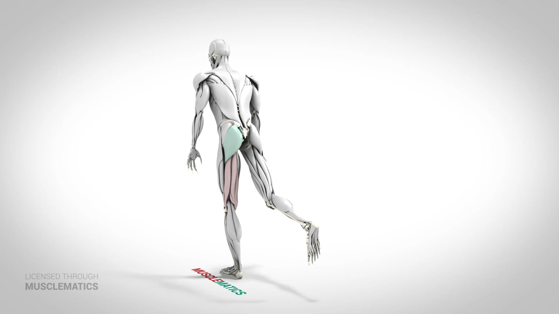 Single-Leg Romanian Deadlift - (View 3) - LEFT