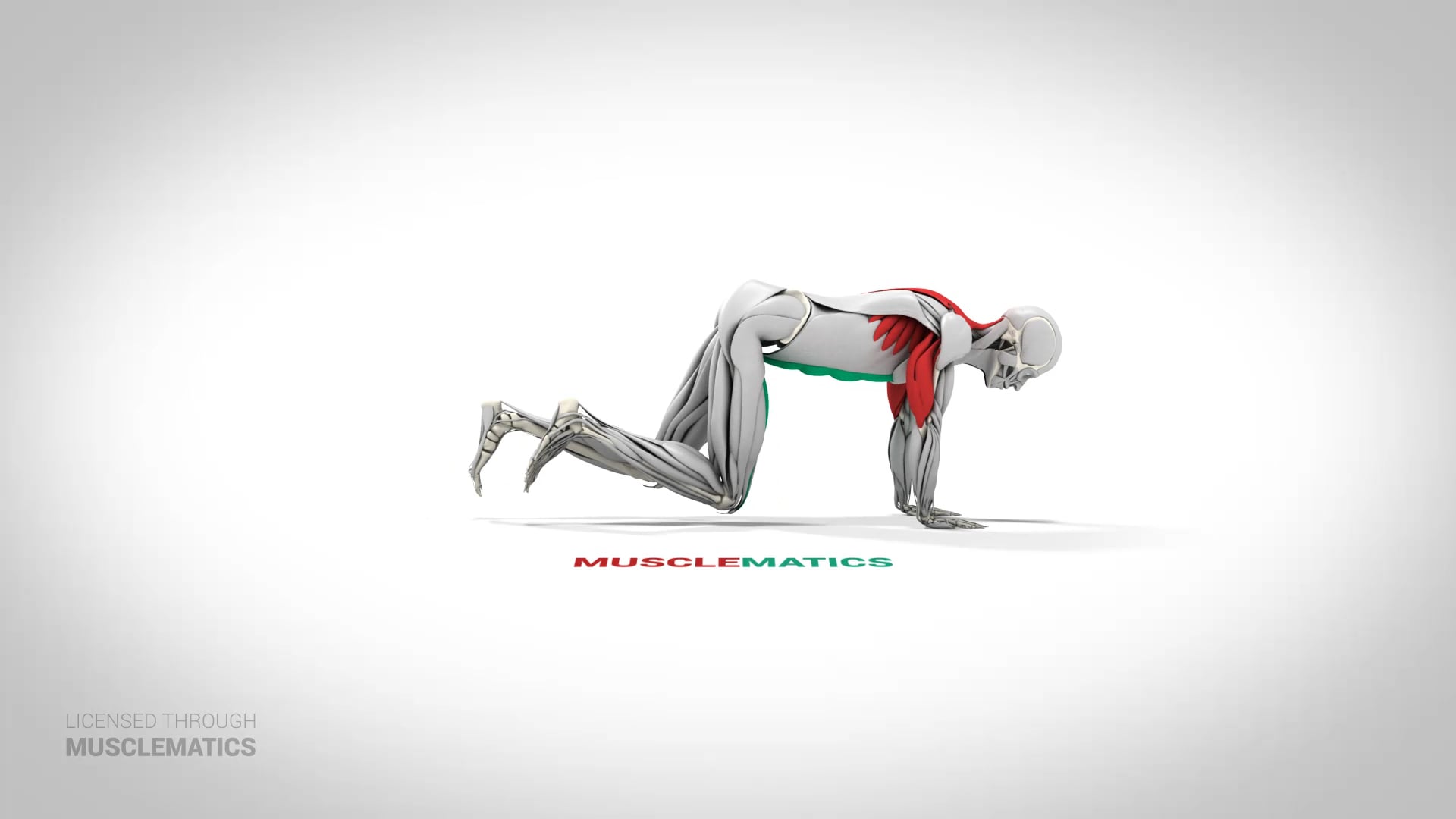 Mountain Climbers - (View 1)