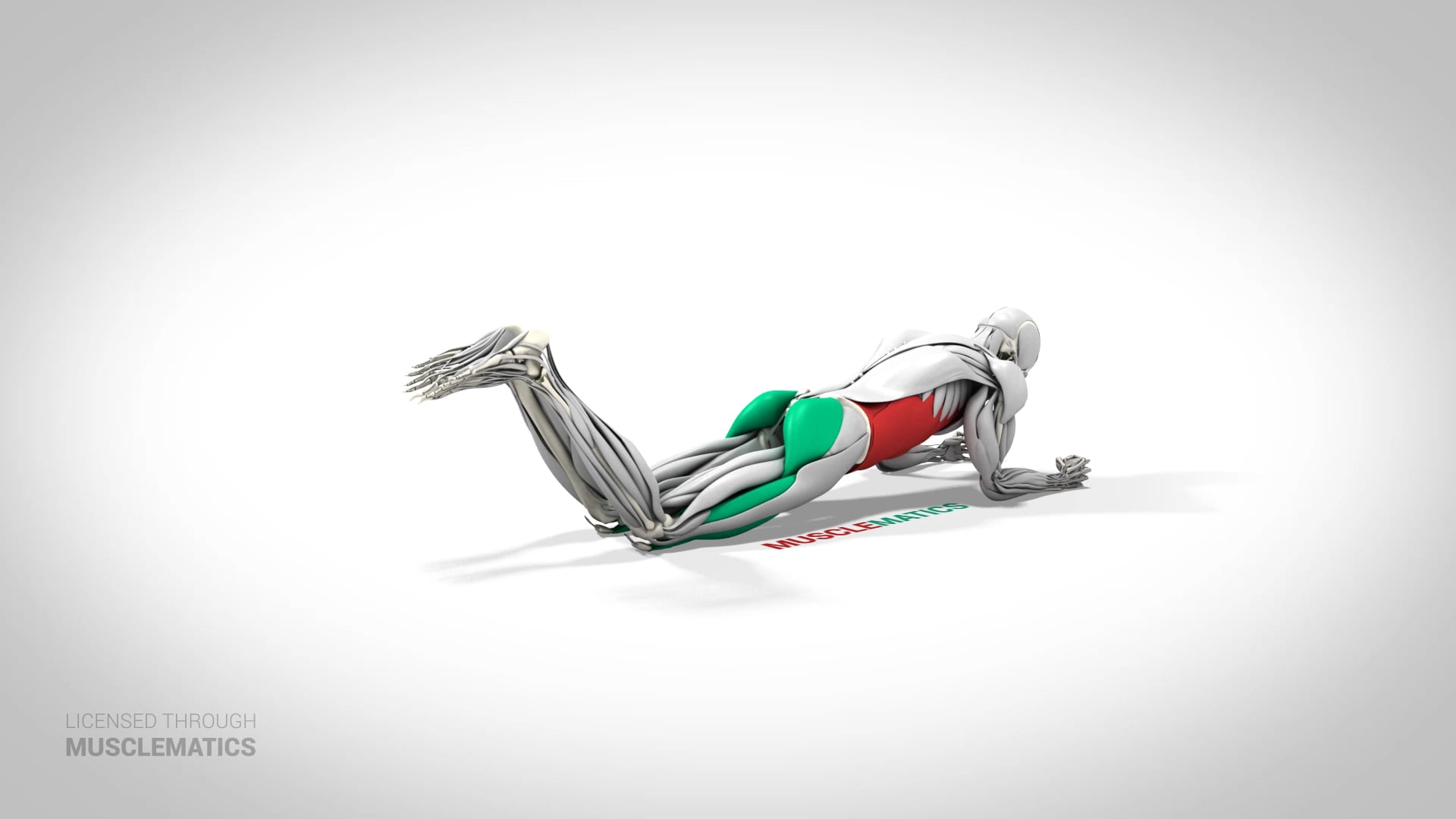 Plank On Knees - (View 2)