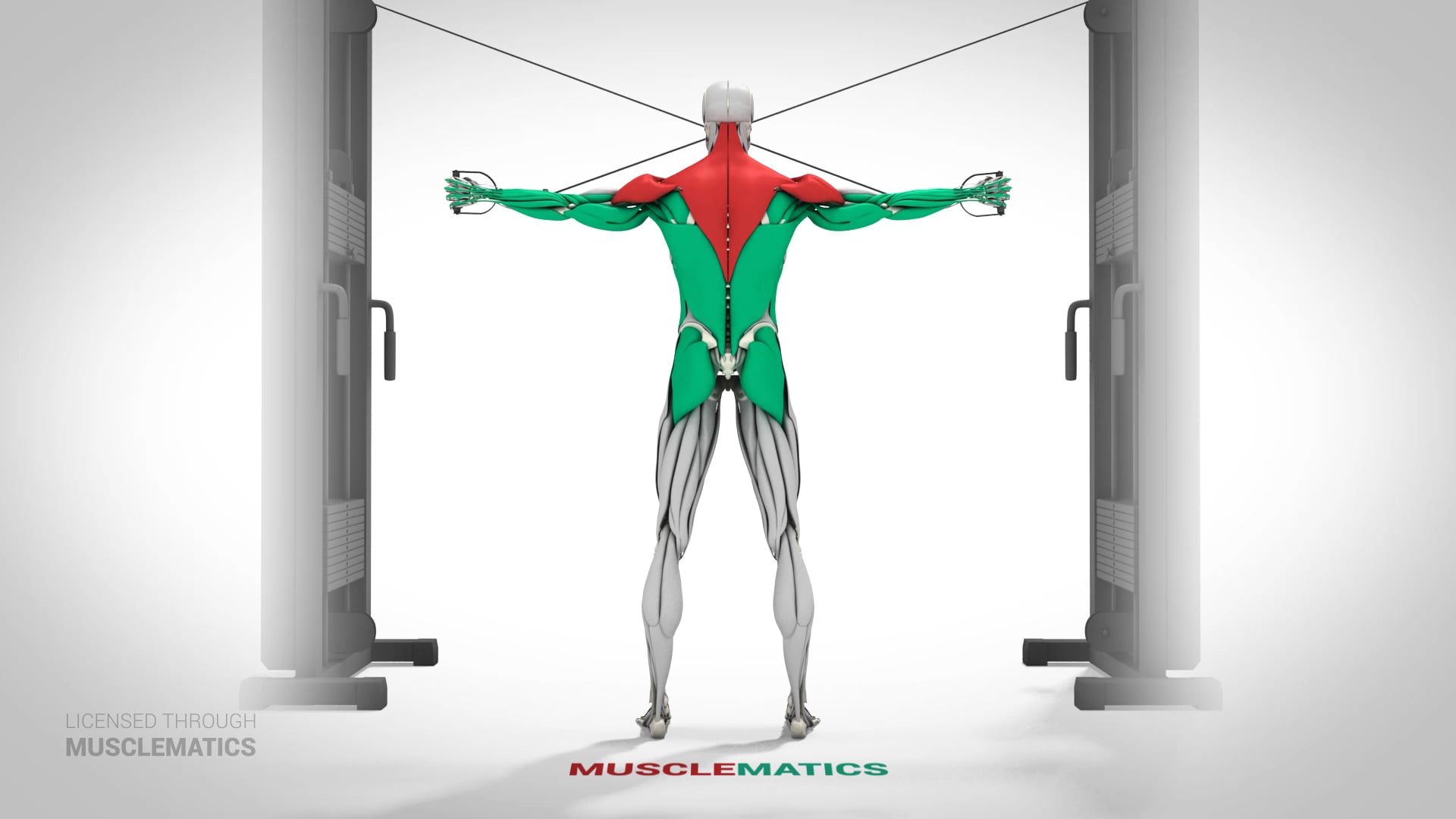 High-Pulley Lateral Extensions - (View 1)