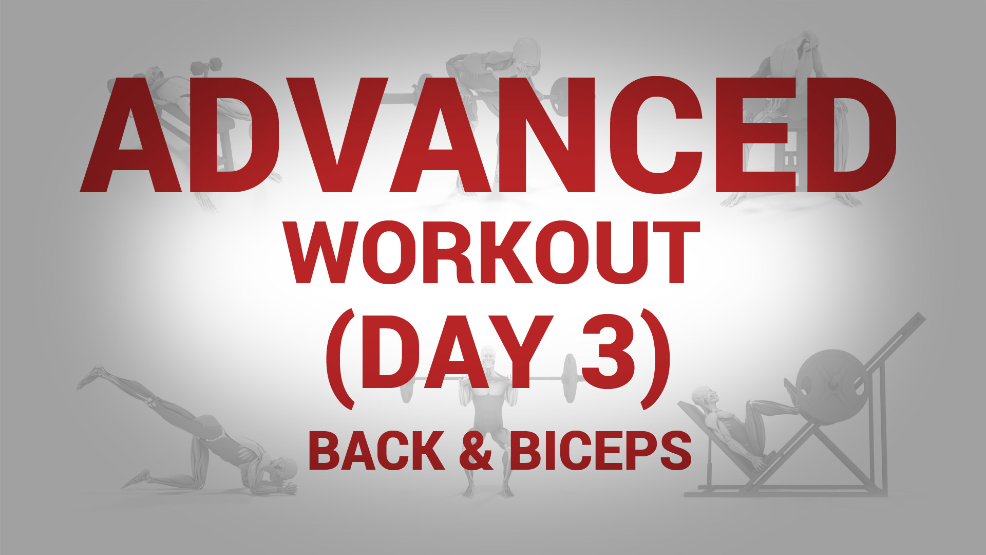 Advanced Workout (Day 3) - BACK & BICEPS
