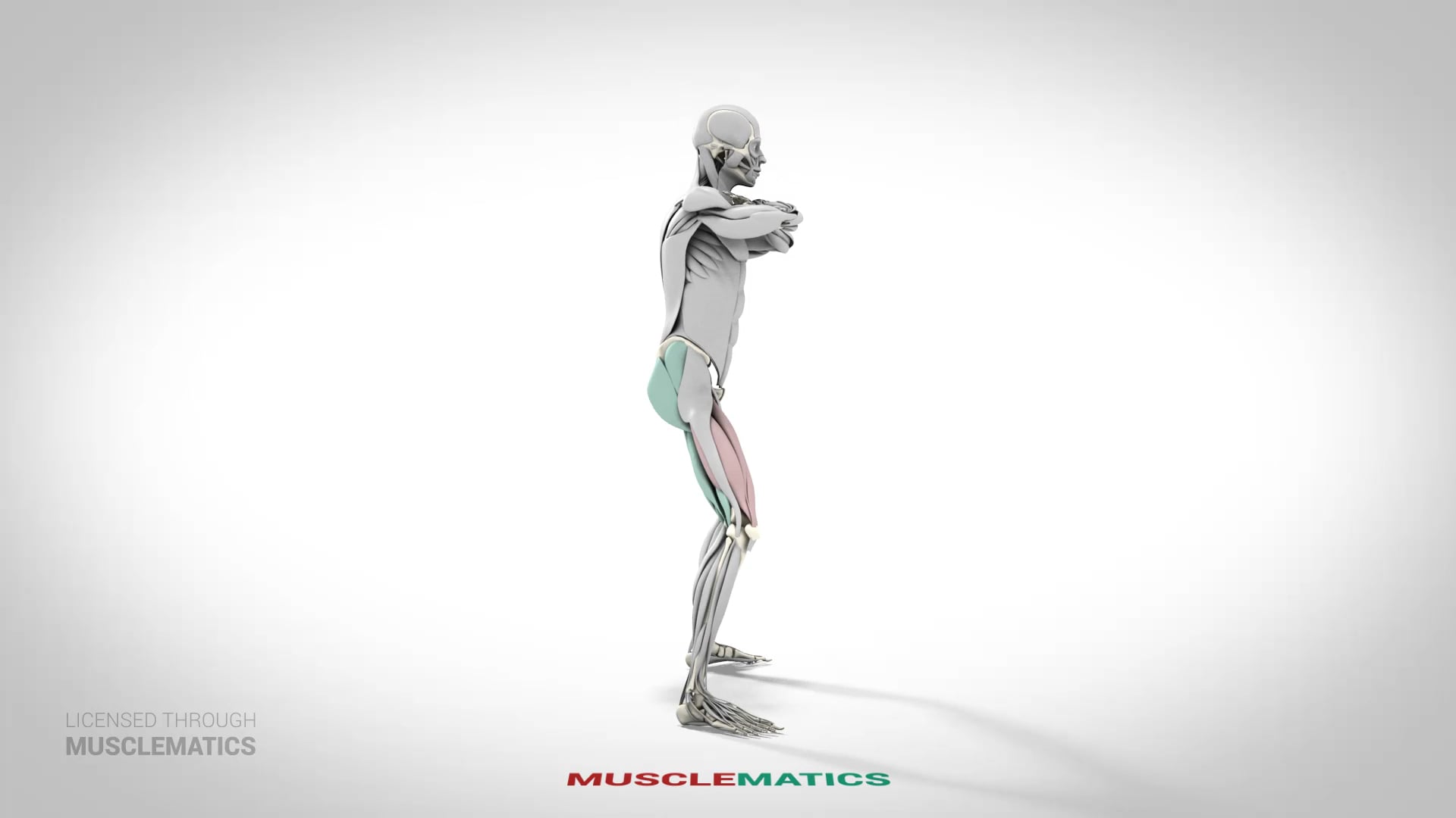 Sumo Squat - (View 1)