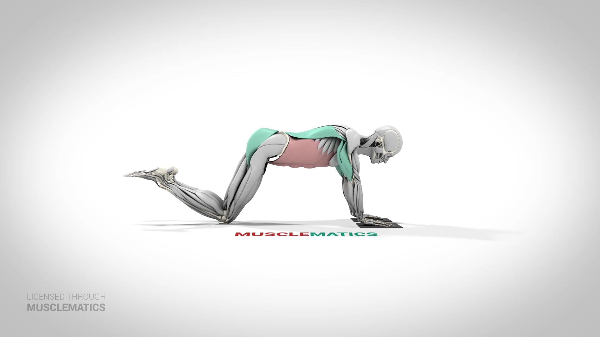 Sliding Rollout On Knees - (View 2)