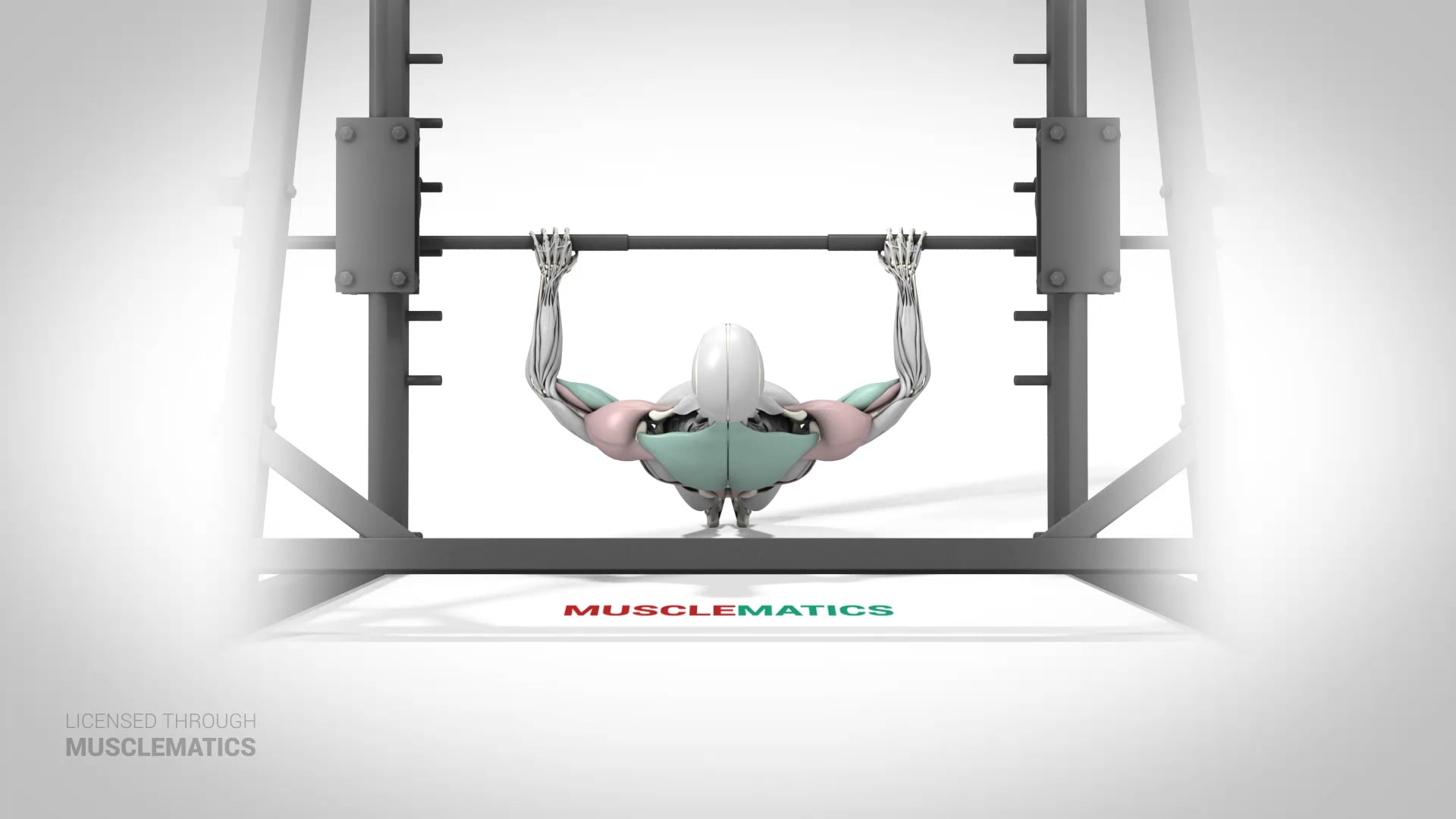 Inverted Row - (View 1)