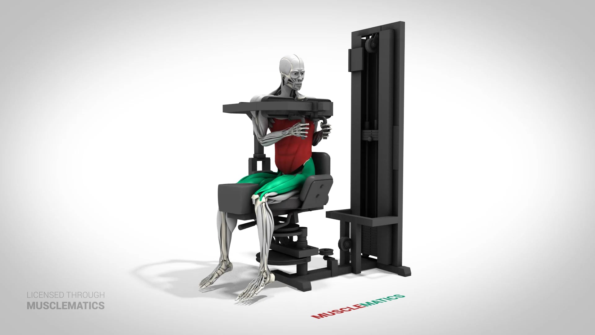 Machine Trunk Rotations - (View 3)