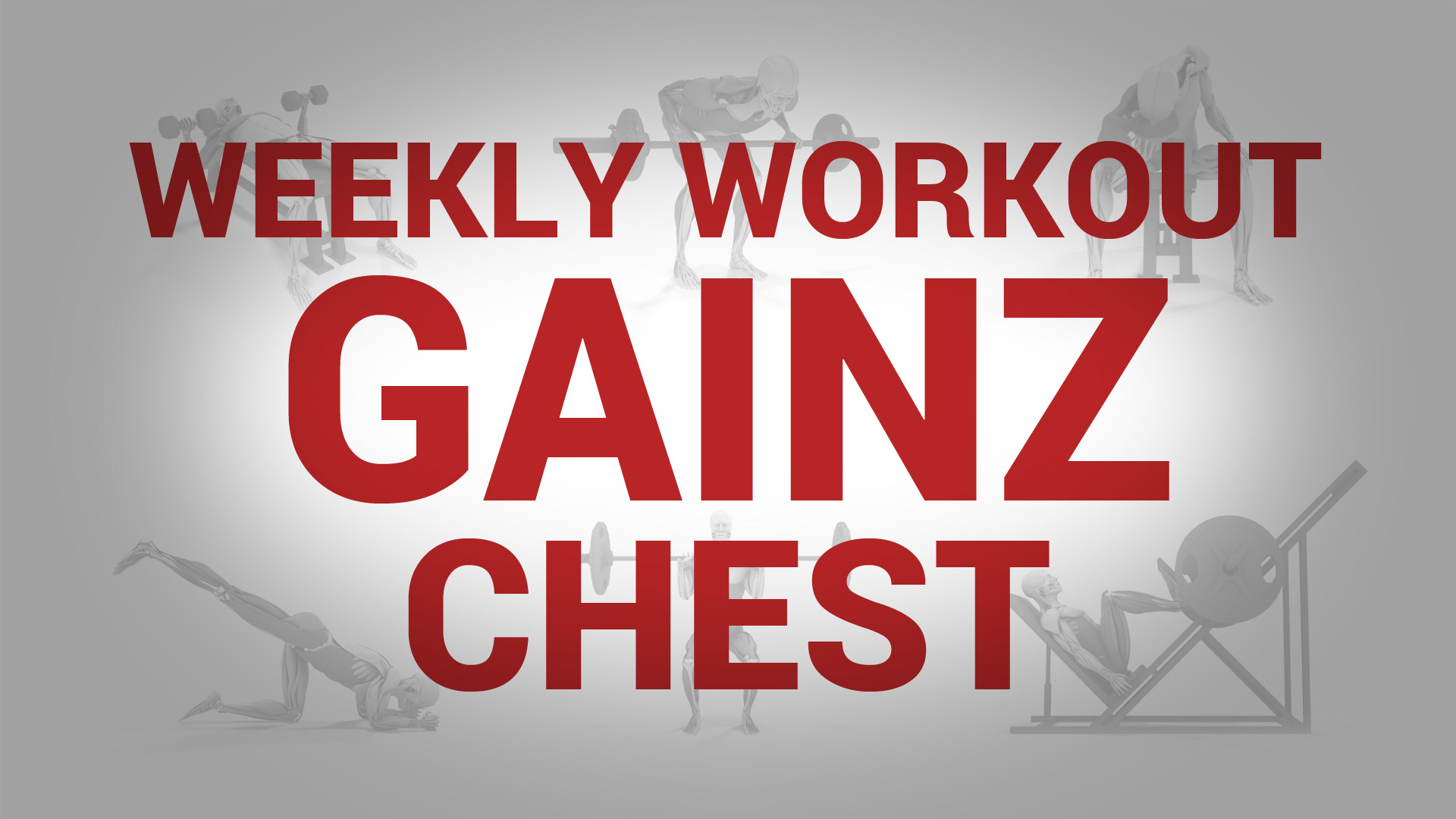 Weekly Workout Gainz - CHEST