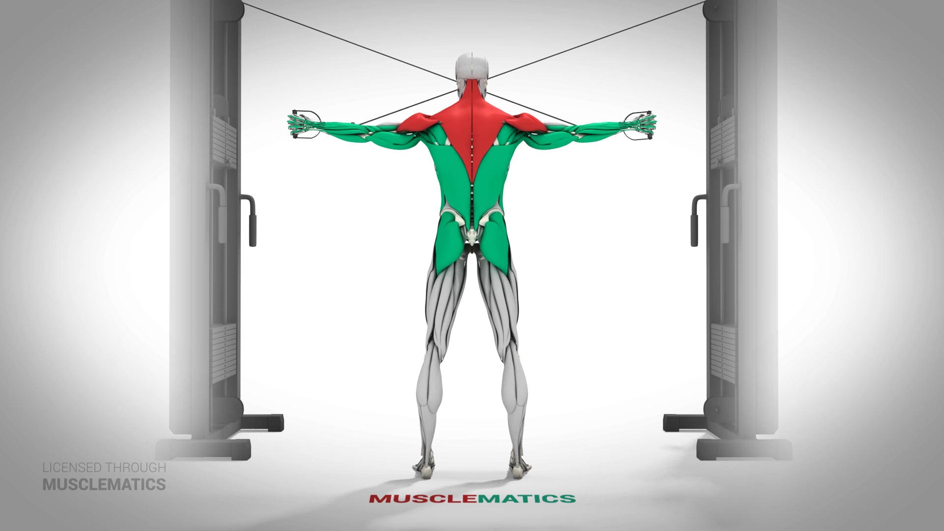 High-Pulley Lateral Extensions - (All Views)
