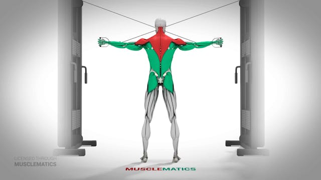 High-Pulley Lateral Extensions - (All...