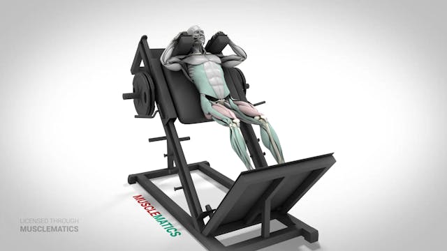 Half Squat Machine - (View 3)