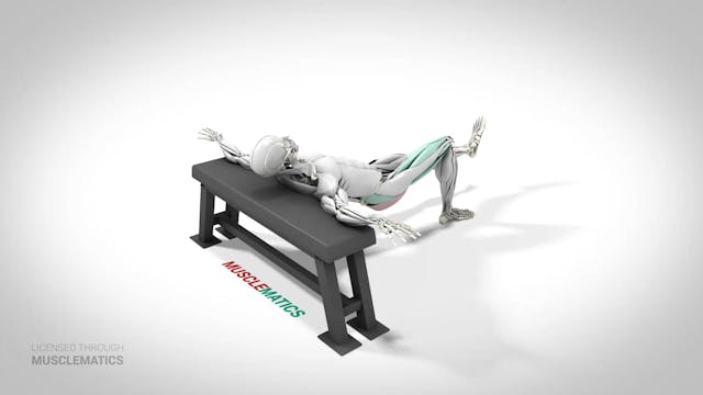 Single-Leg Incline Hip Thrust - (View 2)