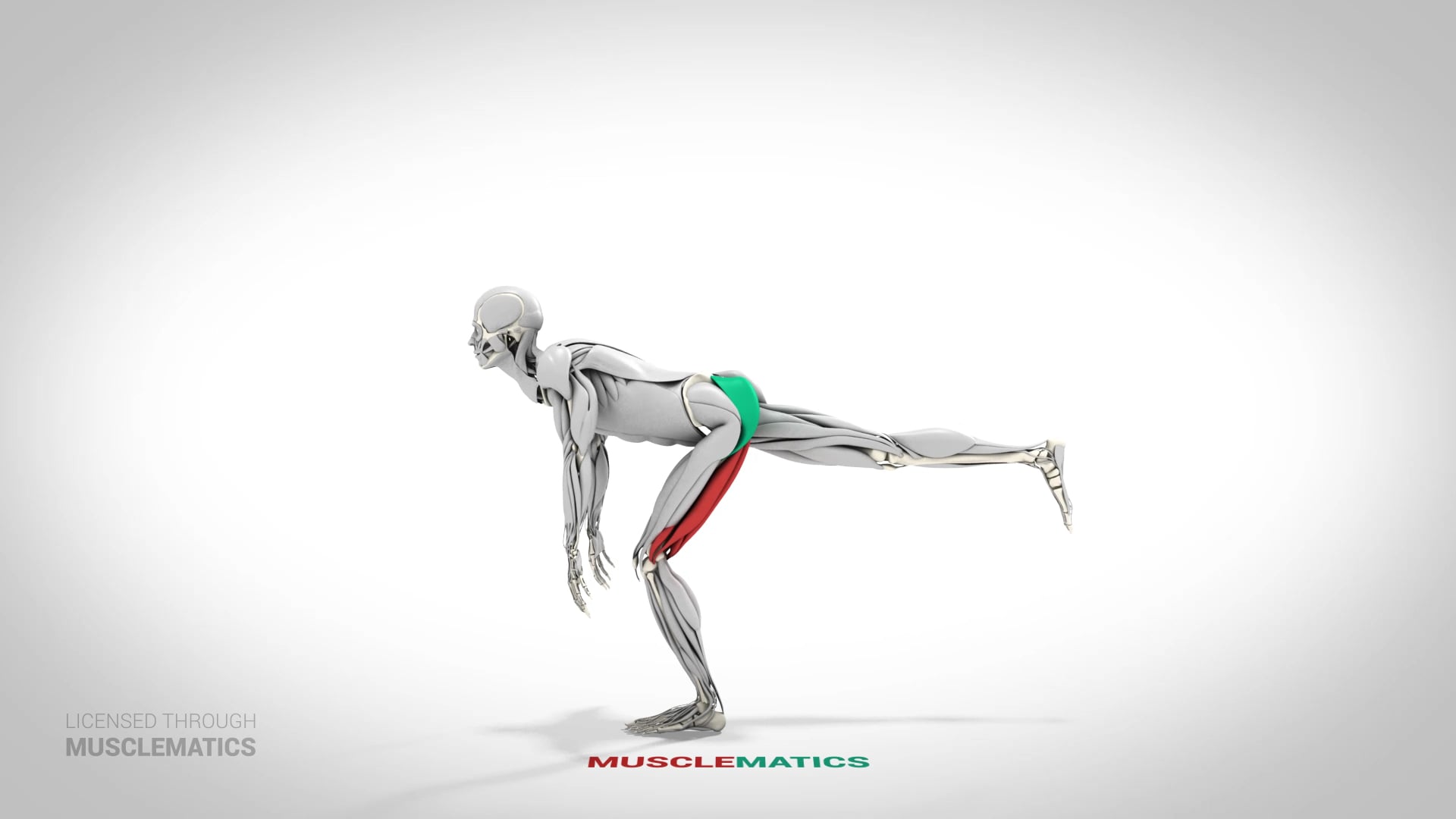 Single-Leg Romanian Deadlift - (View 2) - LEFT