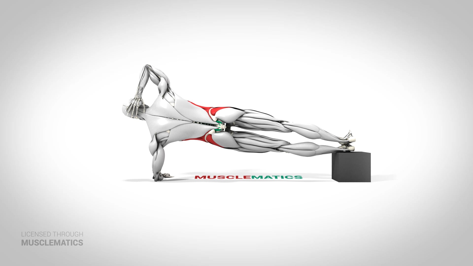 Decline Side Plank - (View 3)