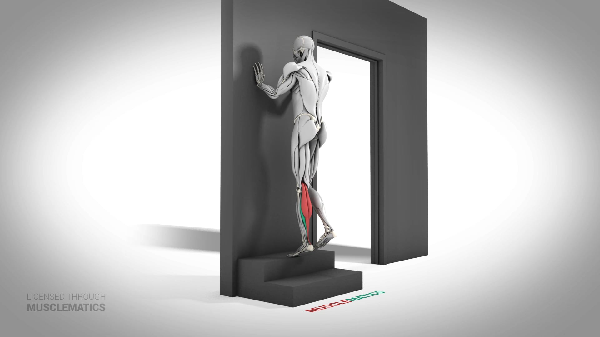 Single-Leg Elevated Calf Raise - (All Views) - LEFT