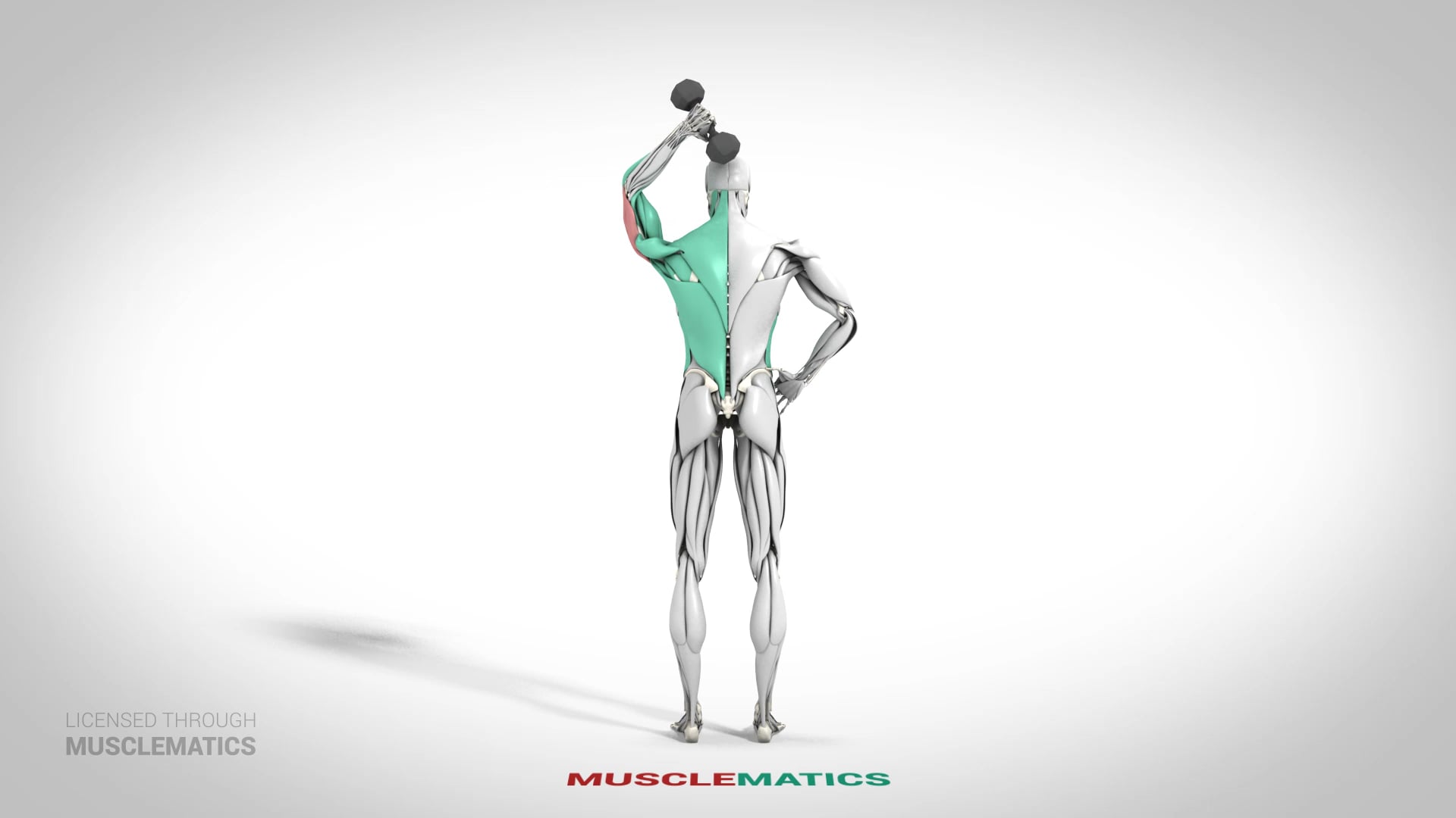 One-Arm Dumbbell Triceps Extensions - (View 3) - LEFT