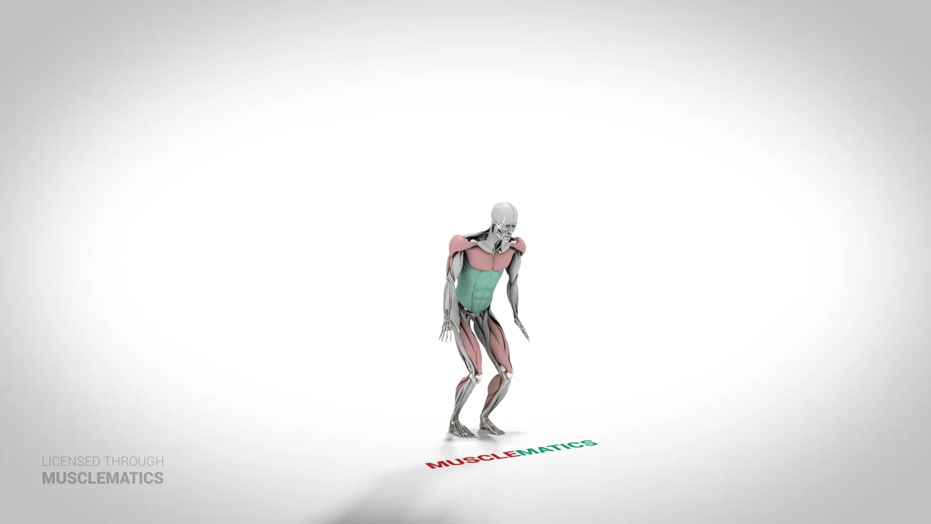 Advanced Burpees - (View 2)