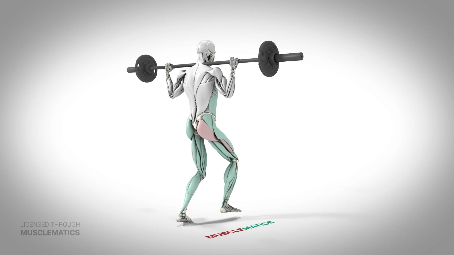 Lunges - (All Views)