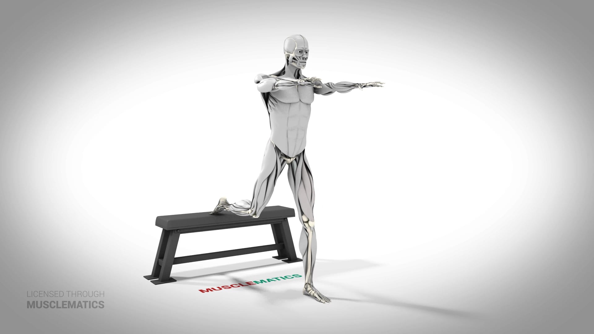 Bulgarian Split Squat - (All Views) - LEFT