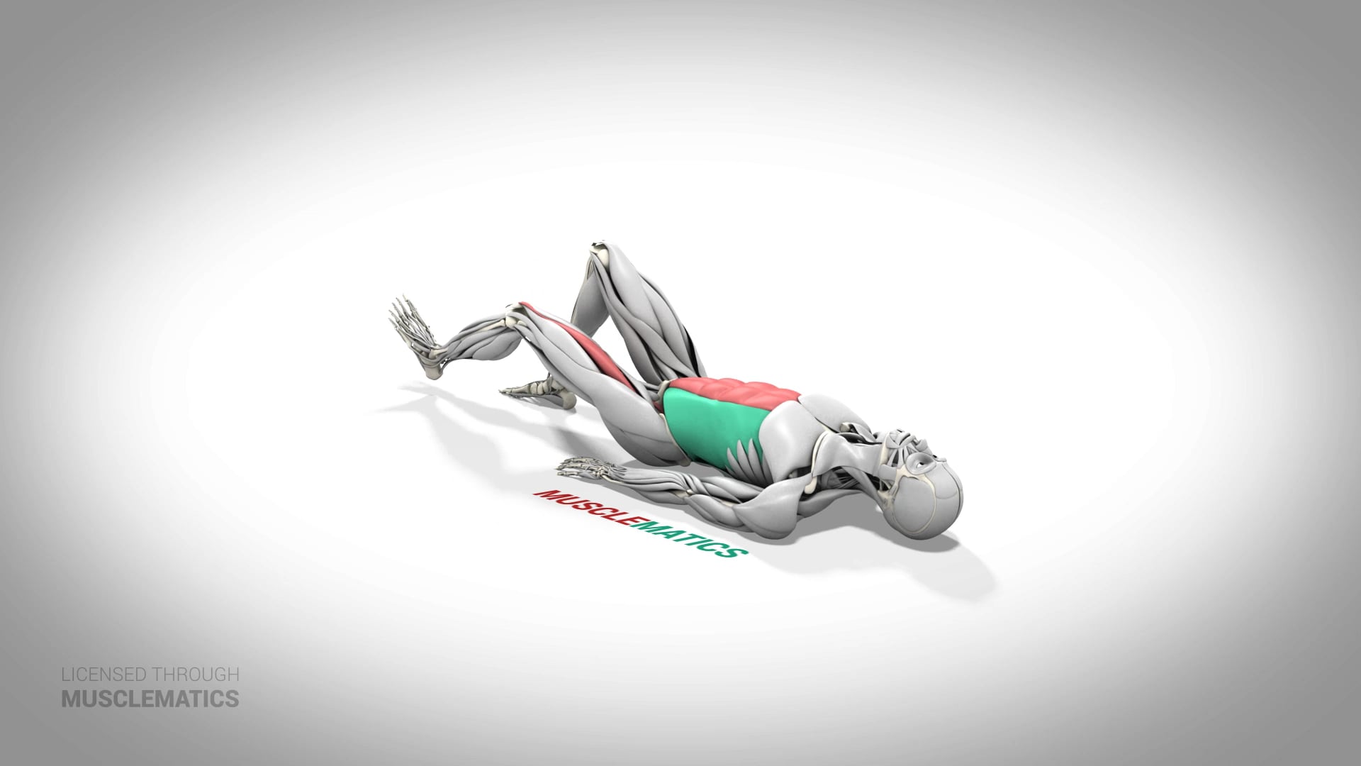 Bent-Knee Single-Leg Lowering With Extension - (All Views) - LEFT