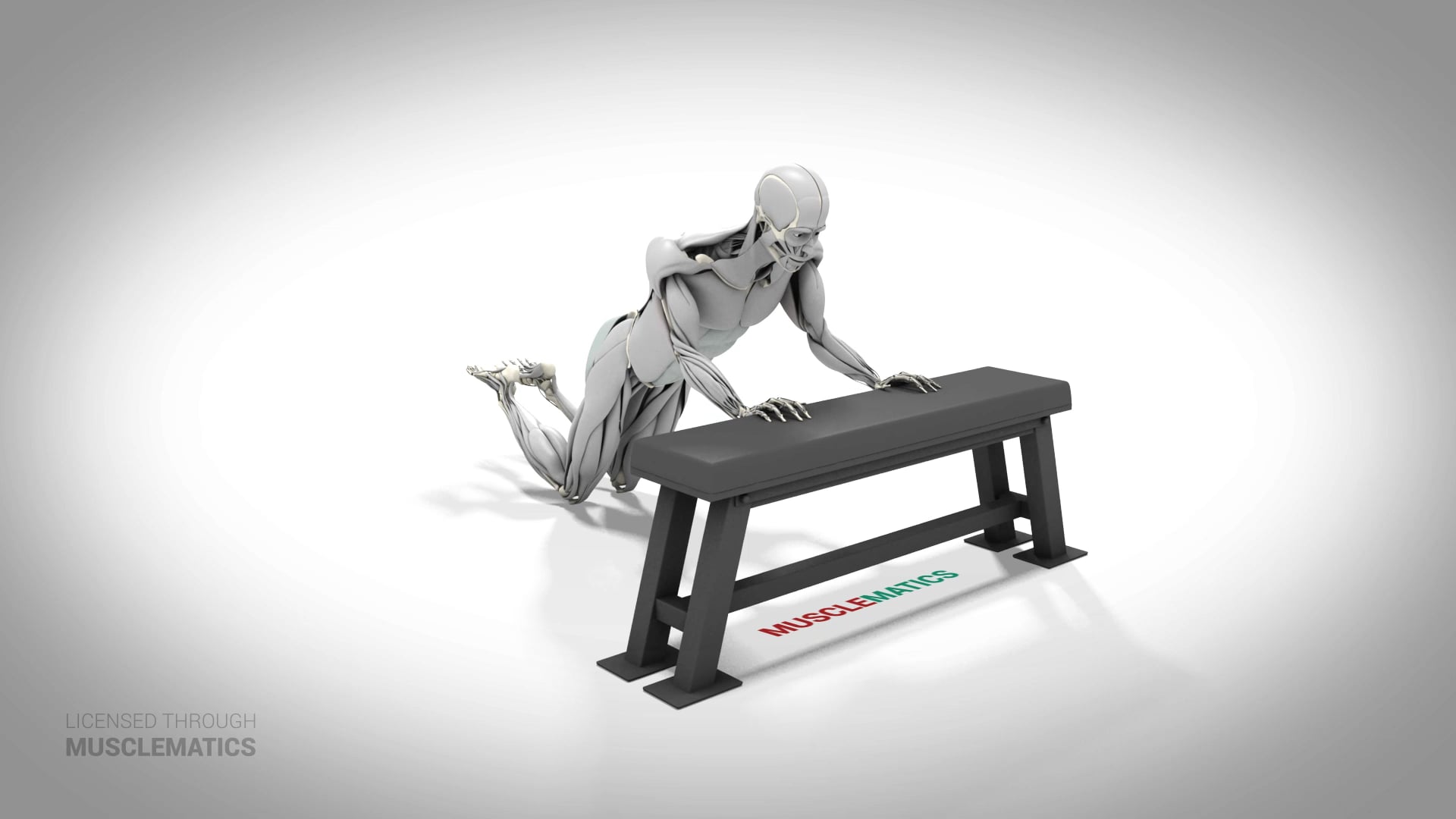 Bodyweight Triceps Extension On Knees - (All Views)