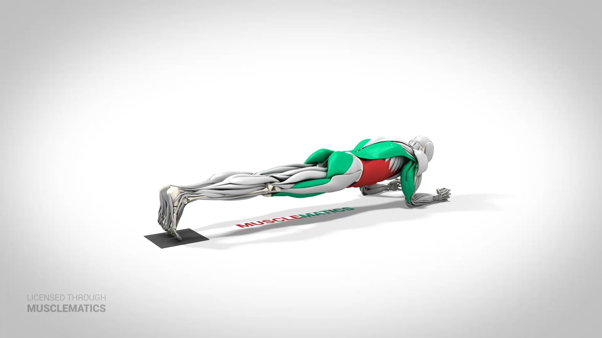 Sliding Body Saw - (View 2)