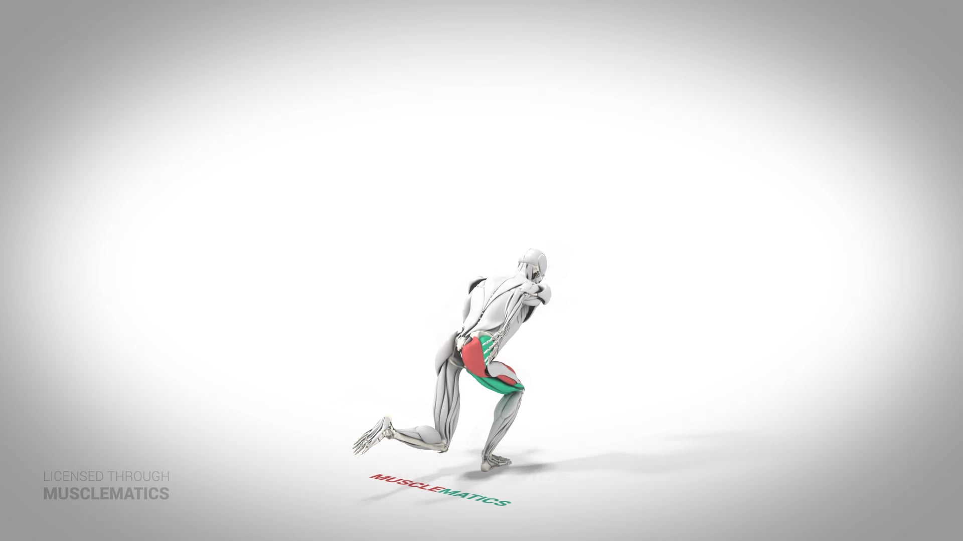 Jumping Skater Squat - (All Views)