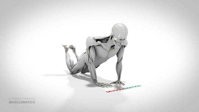 Diamond Triceps Push-Up On Knees - (V...