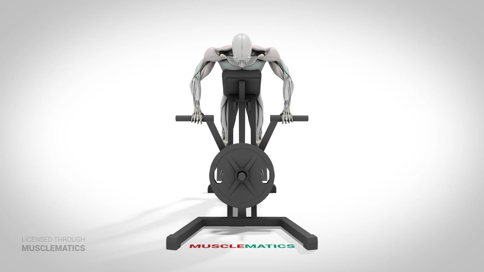 T-Bar Rows With Abdominal Support - (View 3)