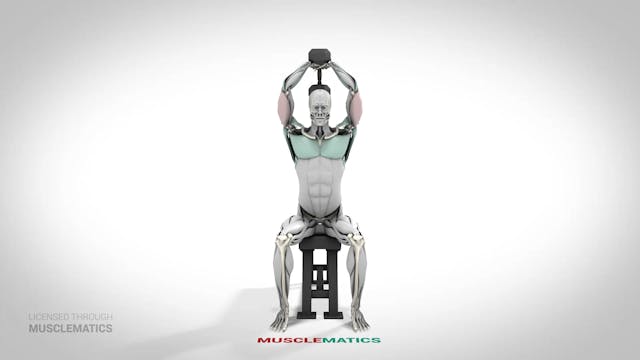 Seated Dumbbell Triceps Extensions - ...